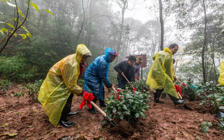 肖理强被评为中国产茶区（四川）十佳匠心茶人