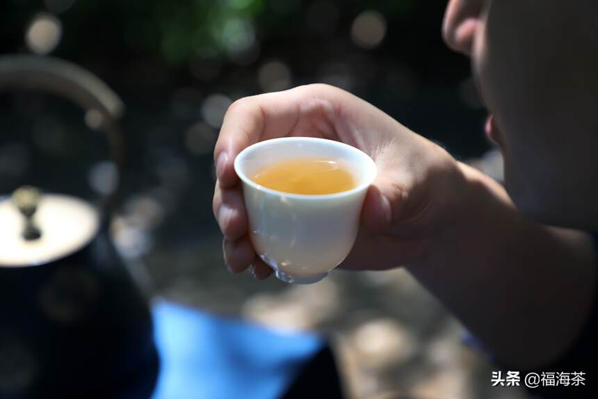 大郭说茶丨105.喝茶会不会导致钙流失