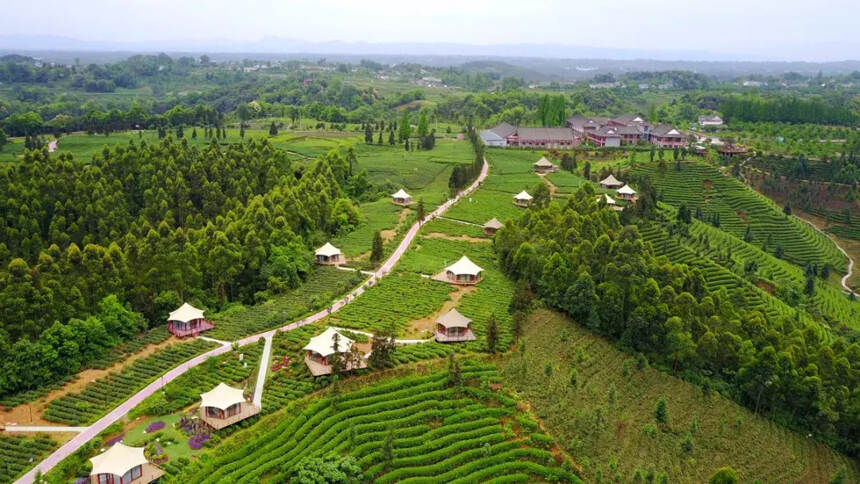 “唐宋八大家”与蒙顶山茶（上）