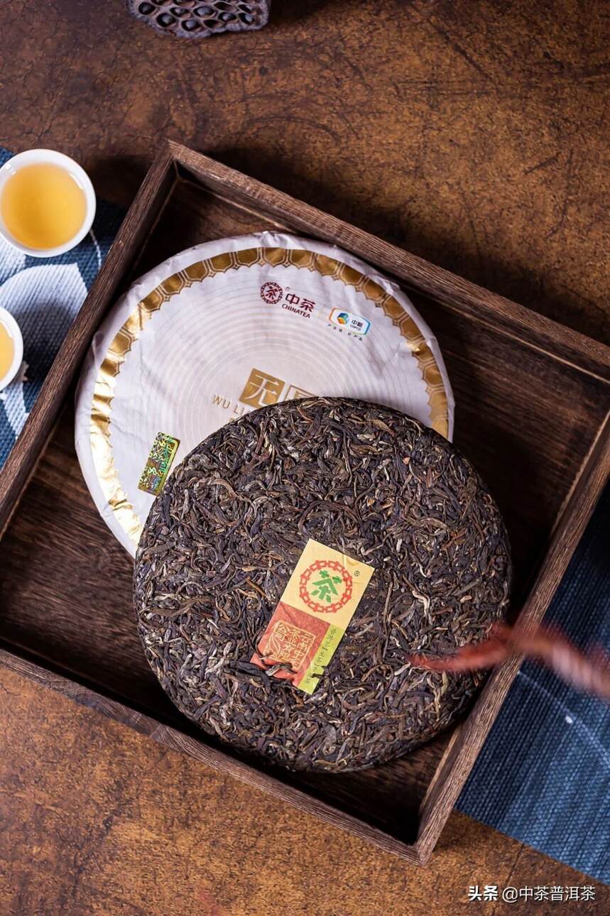 中茶新品｜中茶无量茗汇，以茶悟空性，以茶沐慈心