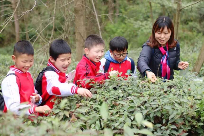 茶旅研学 | 茗润春茶业带您走进大自然