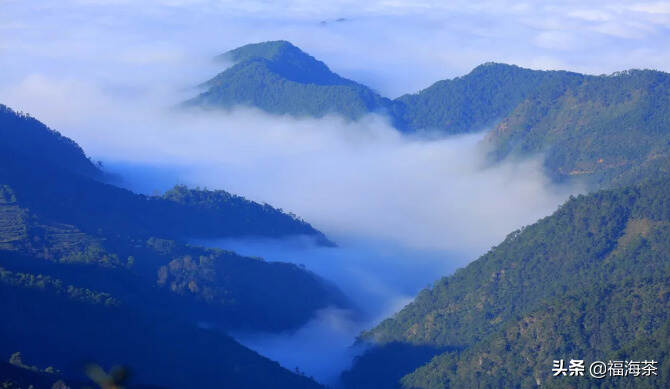 福海讲堂 | 盘点云南名山头之普洱产区