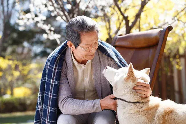 愿余生有一个院子，慢慢喝茶，慢慢变老……