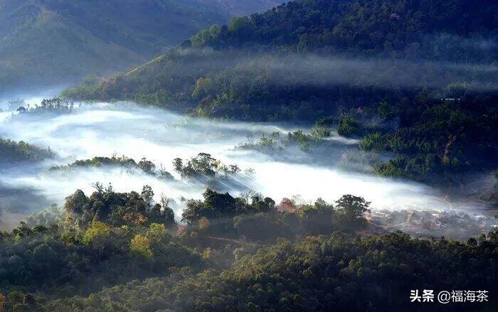 福海讲堂 | 普洱第一名山——布朗山