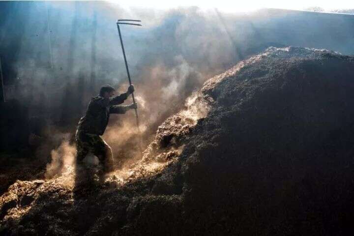 中国黑茶之源—雅安黑茶