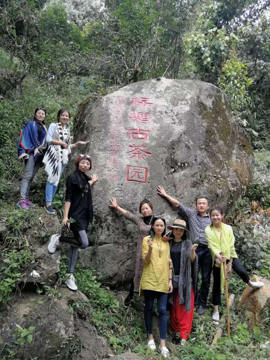 彩云之南，普洱源乡——普洱茶的密码，一半藏在西双版纳