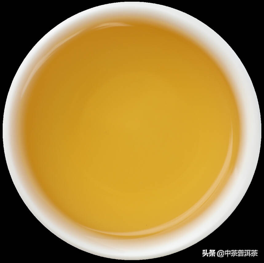 中茶新品 | 2021中茶易武 普洱茶（生茶）紧压茶