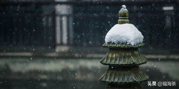 小雪茶语 | 羊城客来茶当酒，竹炉汤沸火初红