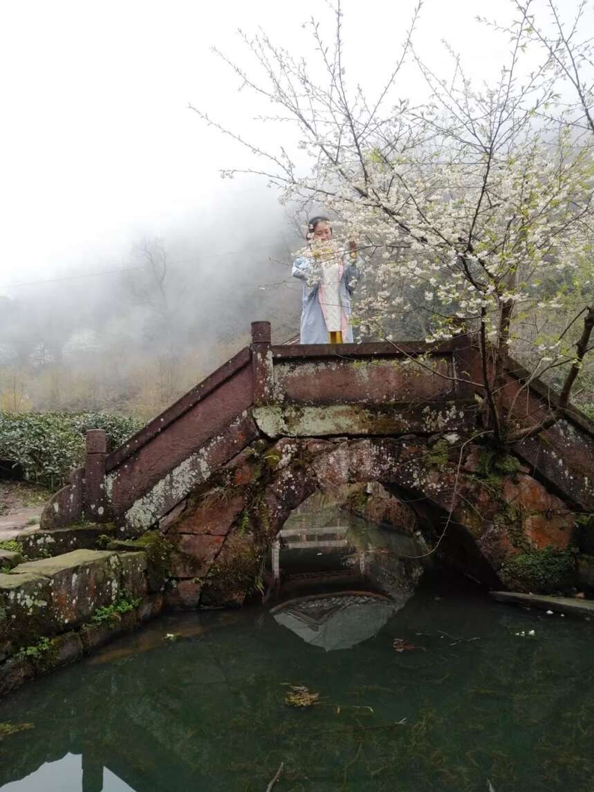 来自全国各地茶友朝拜世界茶文化圣山蒙顶山