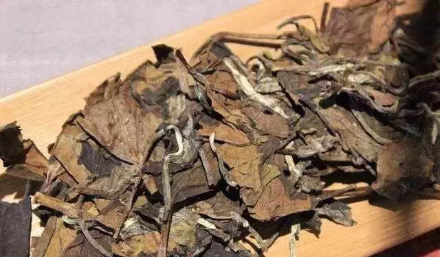 造假老白茶层出不穷，7招教你辨雌雄