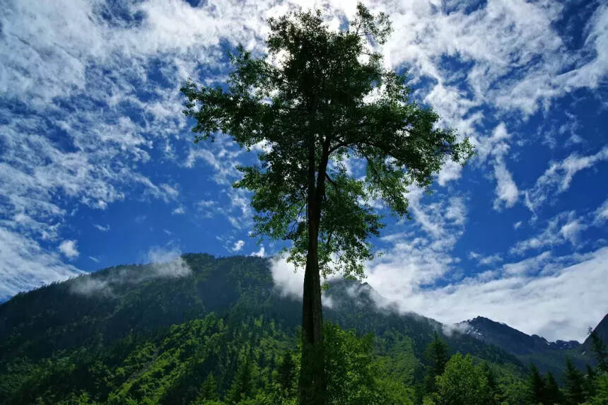 从盛夏走进初秋，一起细数毕棚沟的那些温柔~