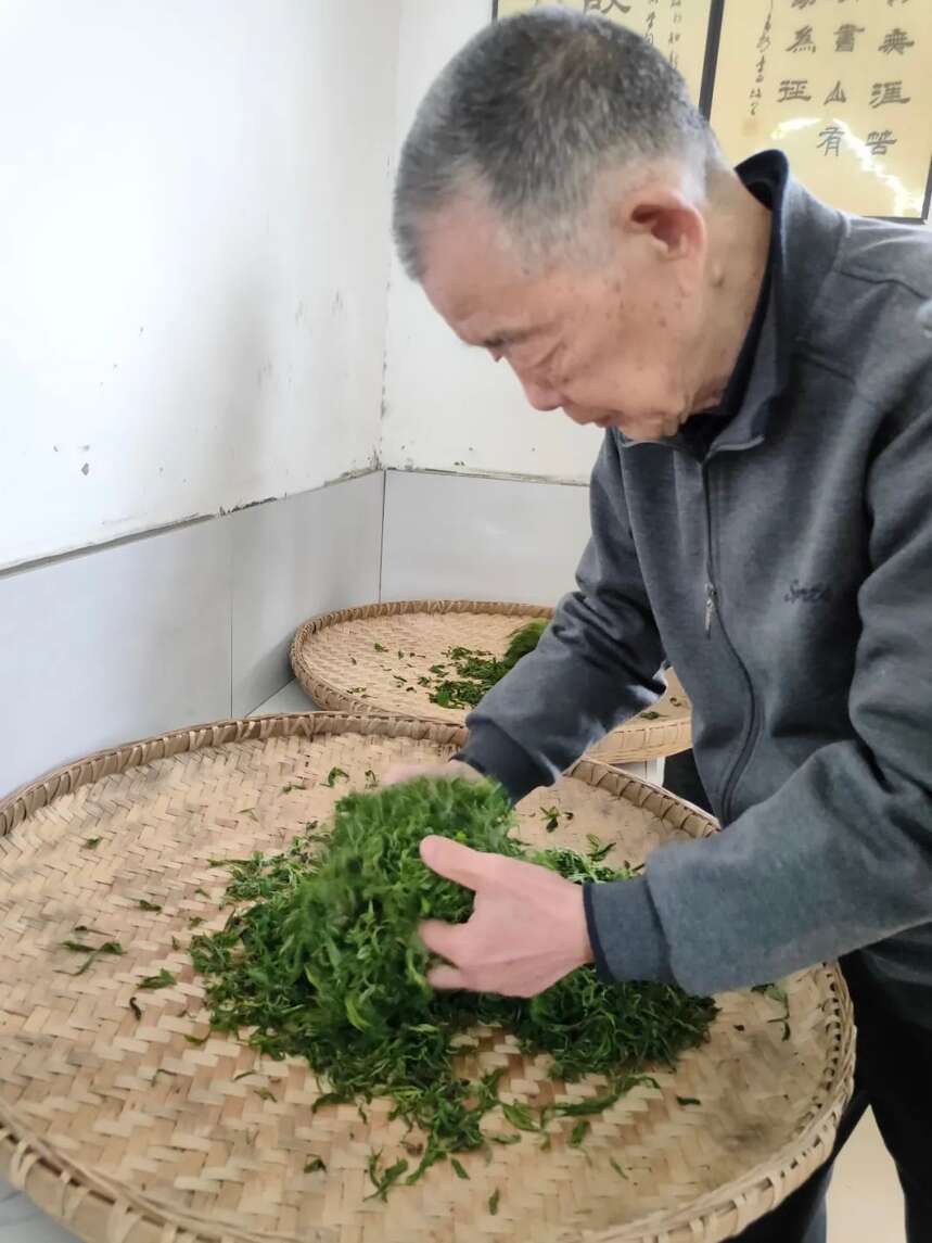 江子崖茶日志2｜江子崖野生红茶今日在江油试制成功