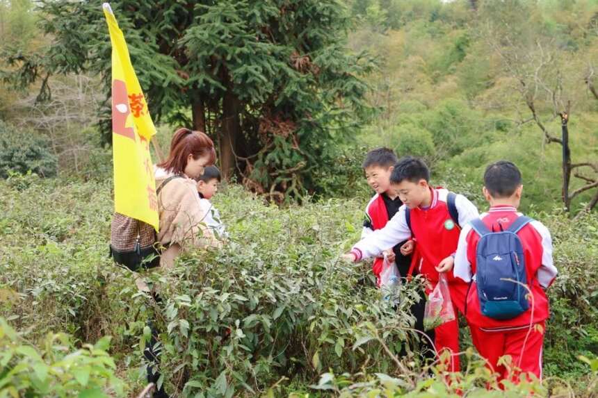 茶旅研学 | 茗润春茶业带您走进大自然