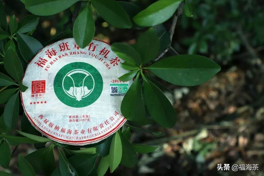 哪些普洱茶有收藏价值？收藏级普洱茶又需要具备哪些品质？