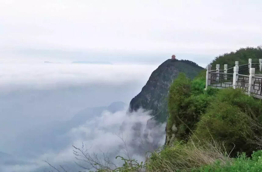 峨眉山云海