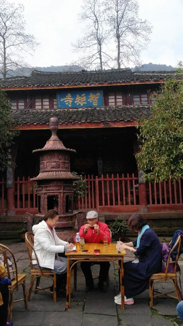 2019茶旅游学，蒋公在智矩寺开讲蒙顶山茶文化