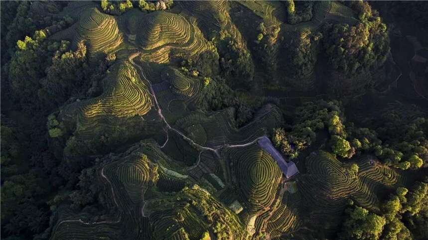 历代知州知县与茶 | 曹抡彬与蒙顶山茶