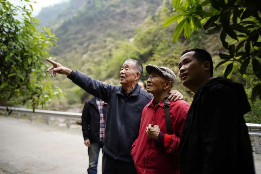 江子崖茶日志6｜四川老茶人春江书赠福建老茶人李宗雄茶诗