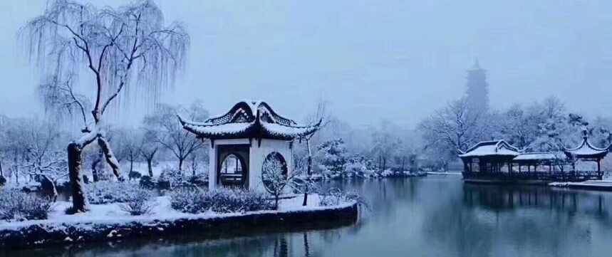 我愿意与你围炉煮雪