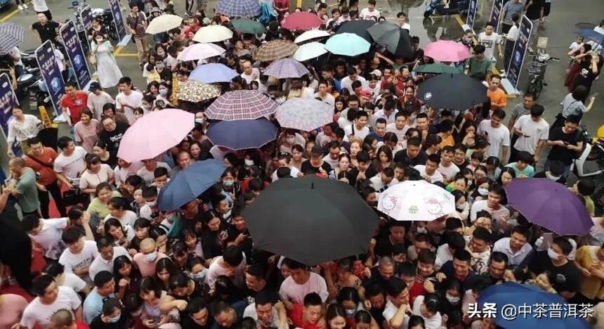 2020中茶水蓝印广州现场签售，近千人冒雨排队抢购，场面火爆