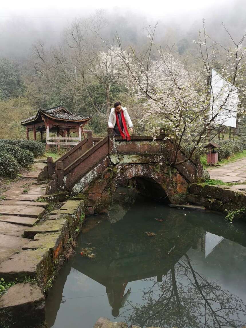 来自全国各地茶友朝拜世界茶文化圣山蒙顶山