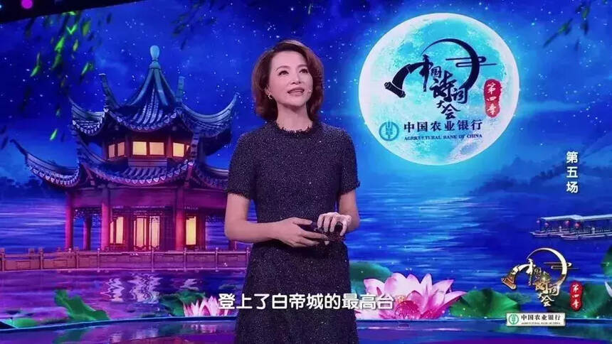 告别春晚后，董卿又火了：若有才华藏于心，岁月从不败美人