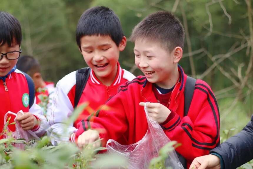 茶旅研学 | 茗润春茶业带您走进大自然