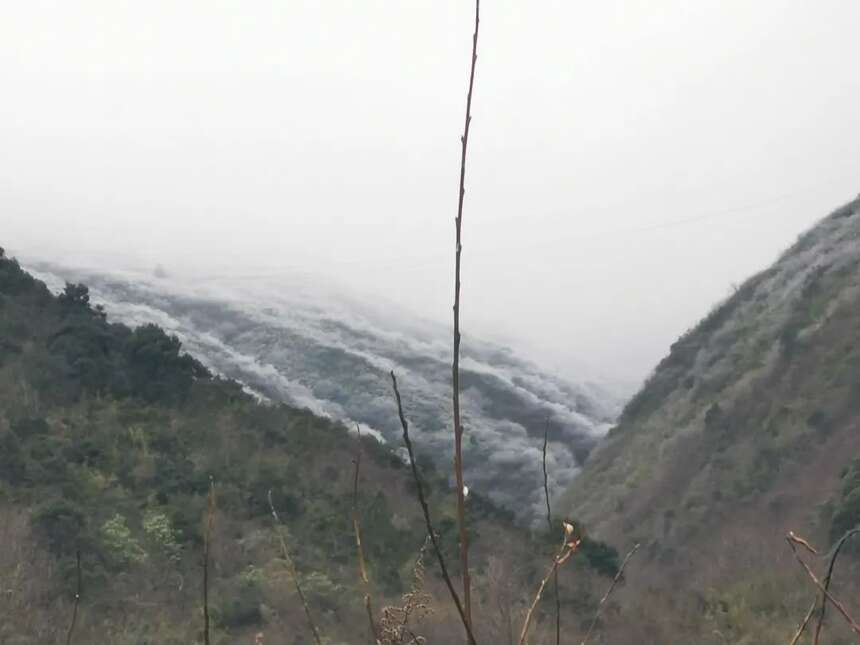 古道茶马 |  赴一场千年之约