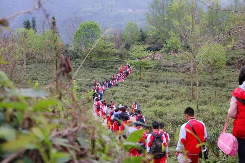 茶旅研学 | 茗润春茶业带您走进大自然