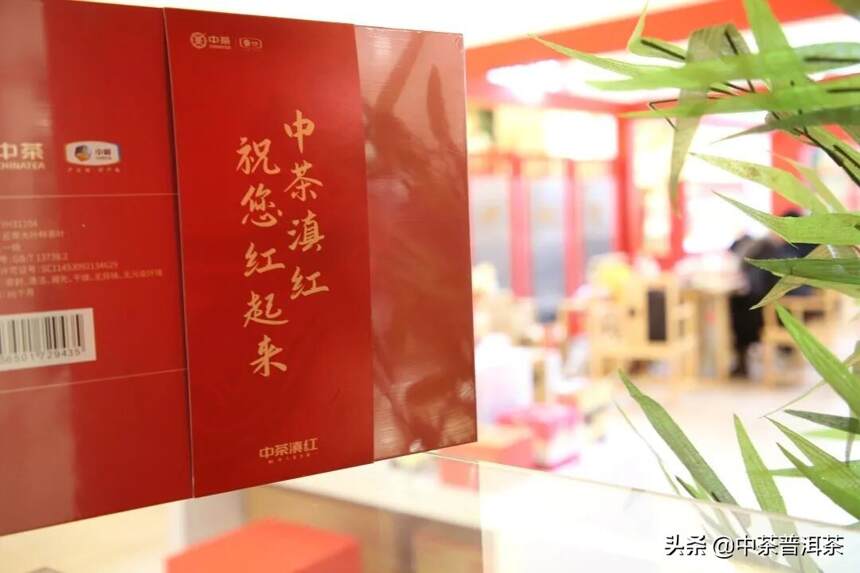 中茶“快闪店”亮相同德昆明广场，一杯中国茶，温暖一冬天