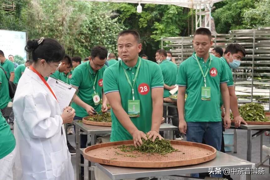 好茶在中茶 | 以赛促学强技能，赛场争相出佳绩