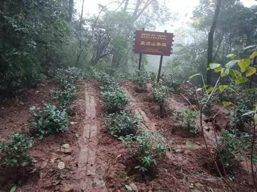 雅安举行2018蒙顶山植茶节为中国产茶区（四川）十佳匠心茶人授牌