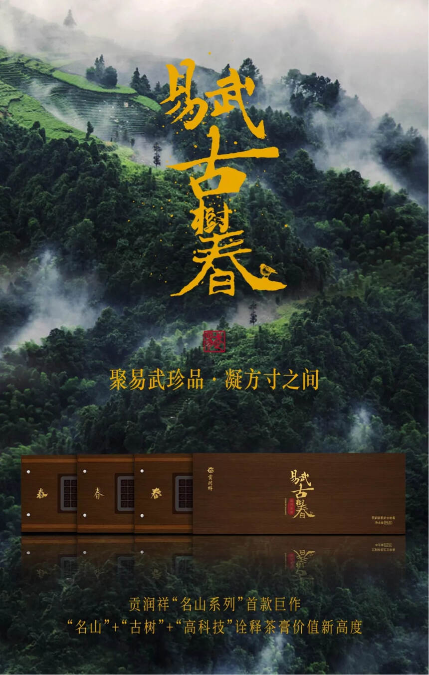 贡润祥“名山系列”首款巨作——易武古树春