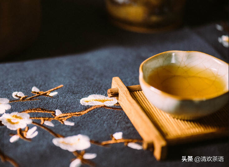 为什么陆羽《茶经》只字不提云南普洱茶？