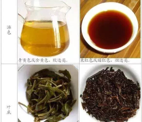 普洱茶：能喝的“阿司匹林”