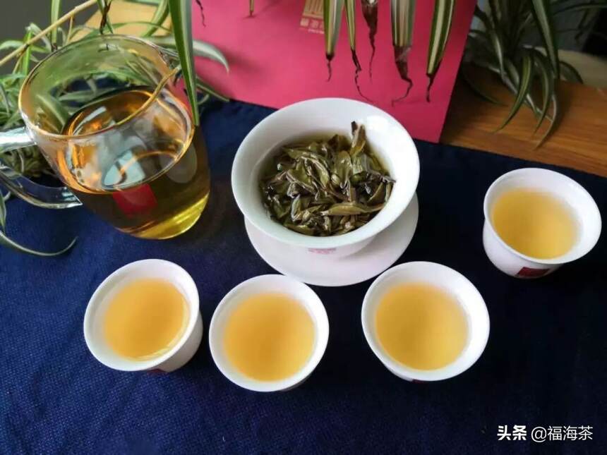 福享家日志 | 004.班章之味 尽在此杯