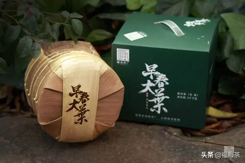 小满茶语 | 小得盈满 自在欢喜