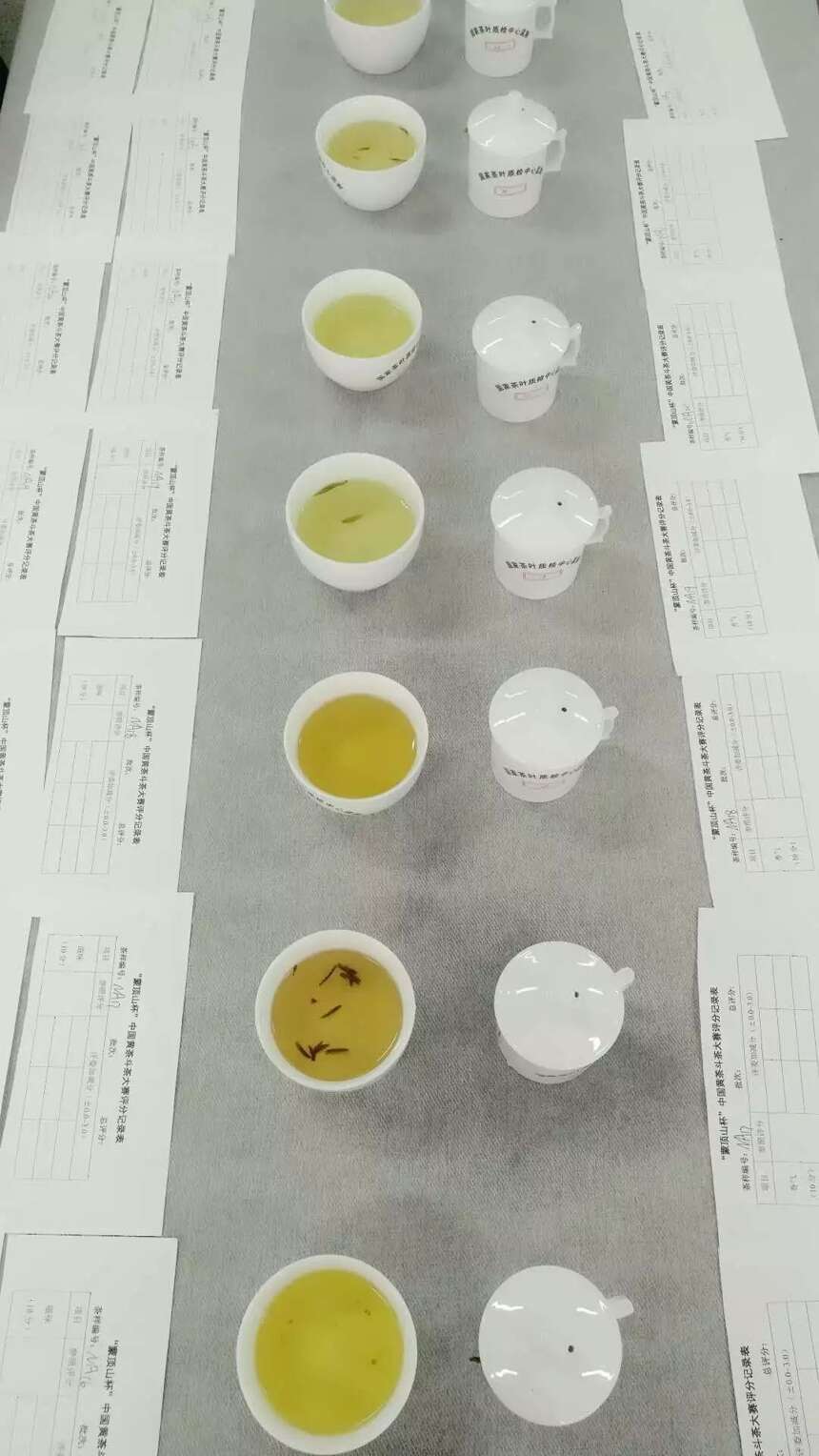 “蒙顶山杯”第四届中国黄茶斗茶大赛颁奖仪式在四川茶博会举行