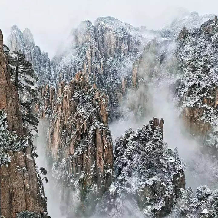 雪后的黄山，犹如仙境，美轮美奂！