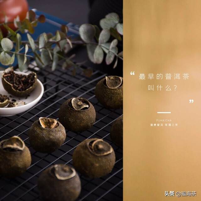 每日懂点普洱茶｜最早的普洱到底叫什么？