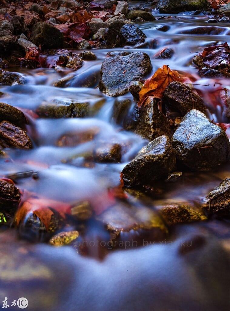 水深则流缓，人贵则语迟