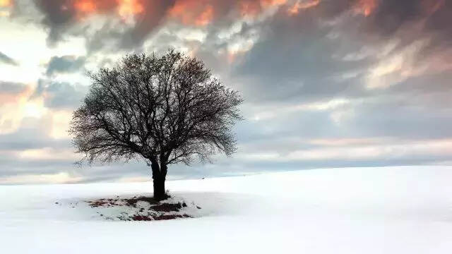 晚来天欲雪，能饮一杯无？十首雪诗词，读懂最美冬天