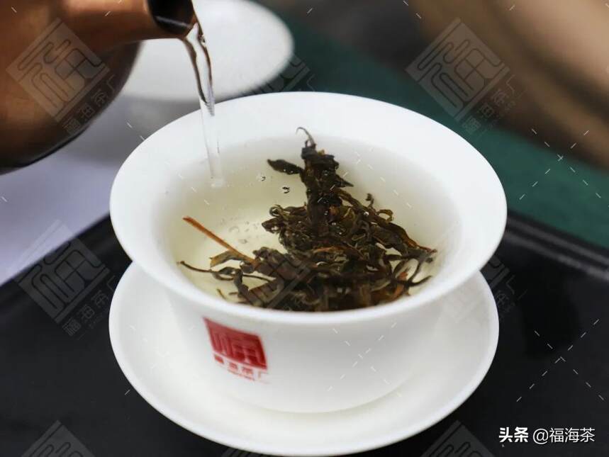 大郭说茶丨118.班章有机茶的滋味密码