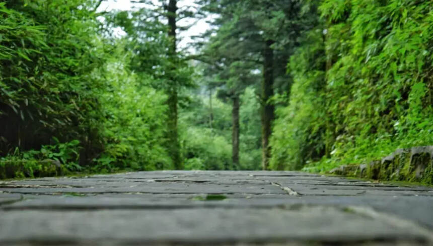 蓝天白云以外的峨眉山，一样可以有调调