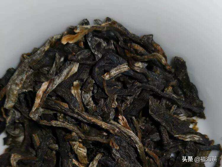 福享家日志 | 014.普洱之韵 正酽之味