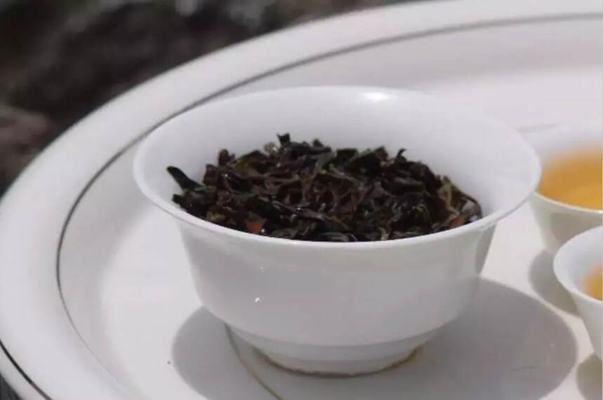 你泡的茶为什么不香？