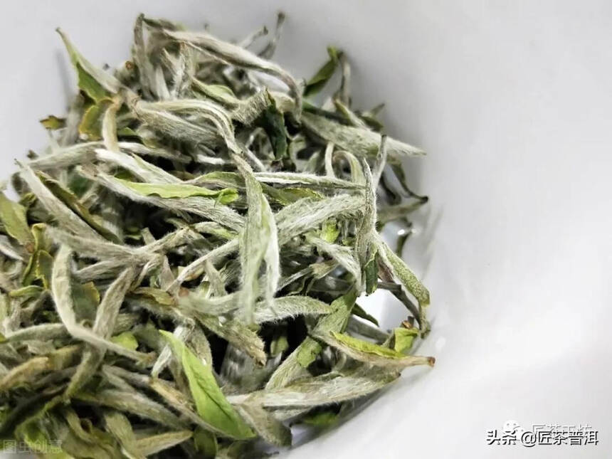 哪几种茶一定要洗，看完就知道