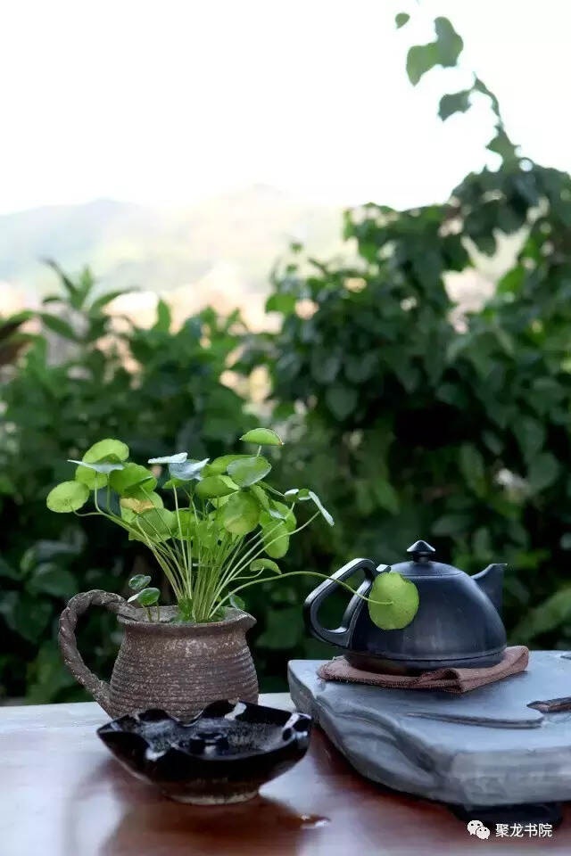 坦荡宽和，方能容万物知进退