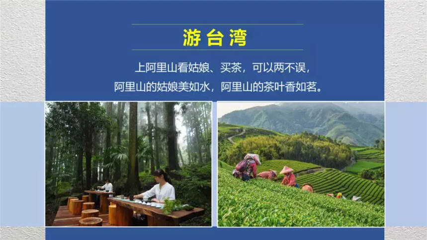 傅传耀：茶旅一体在深度融合中阔步前行