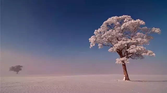 晚来天欲雪，能饮一杯无？十首雪诗词，读懂最美冬天